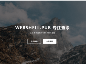 网站后门检测工具 webshell 在线查杀